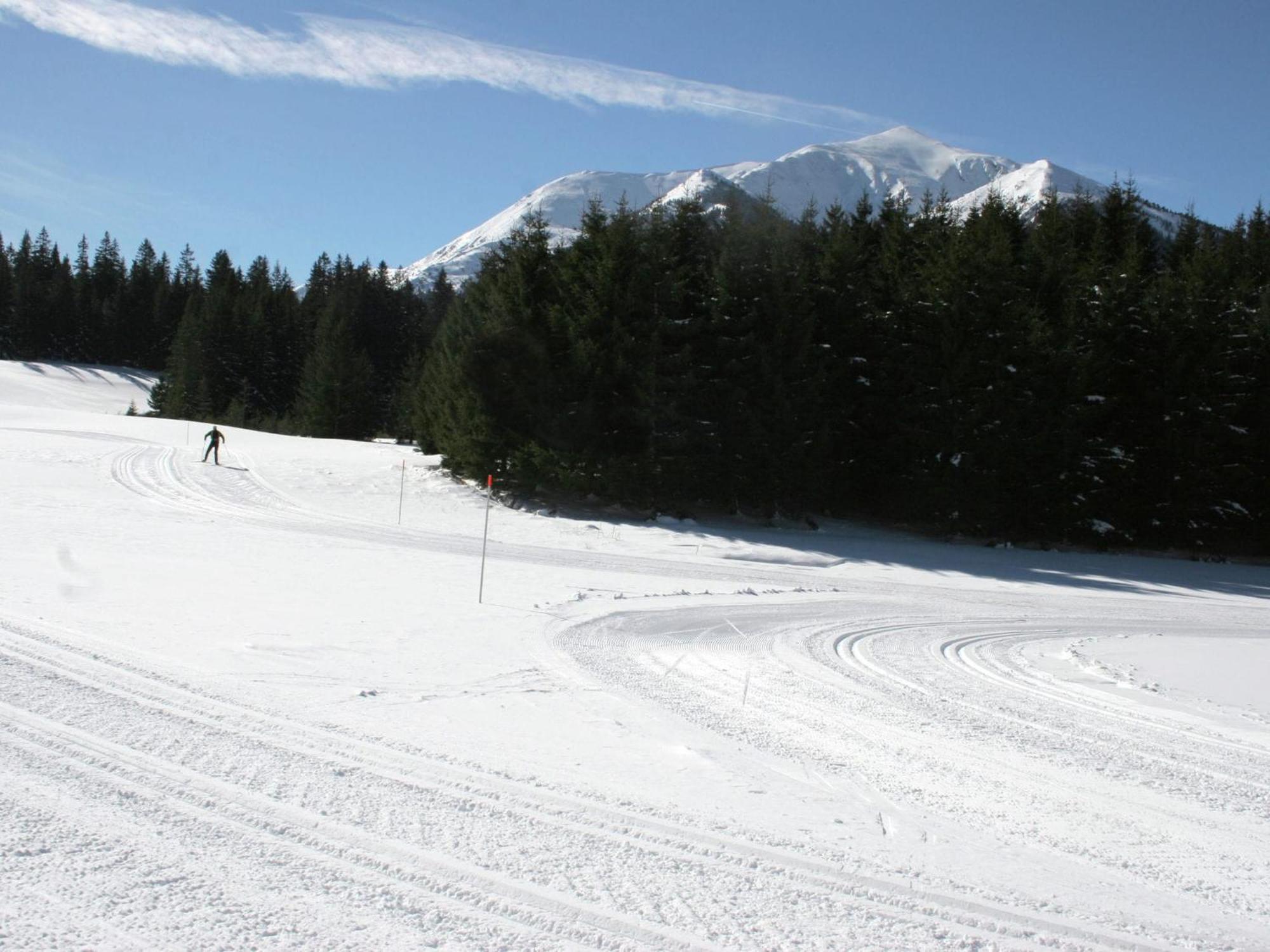 Chalet In Hohentauern With In House Wellness מראה חיצוני תמונה